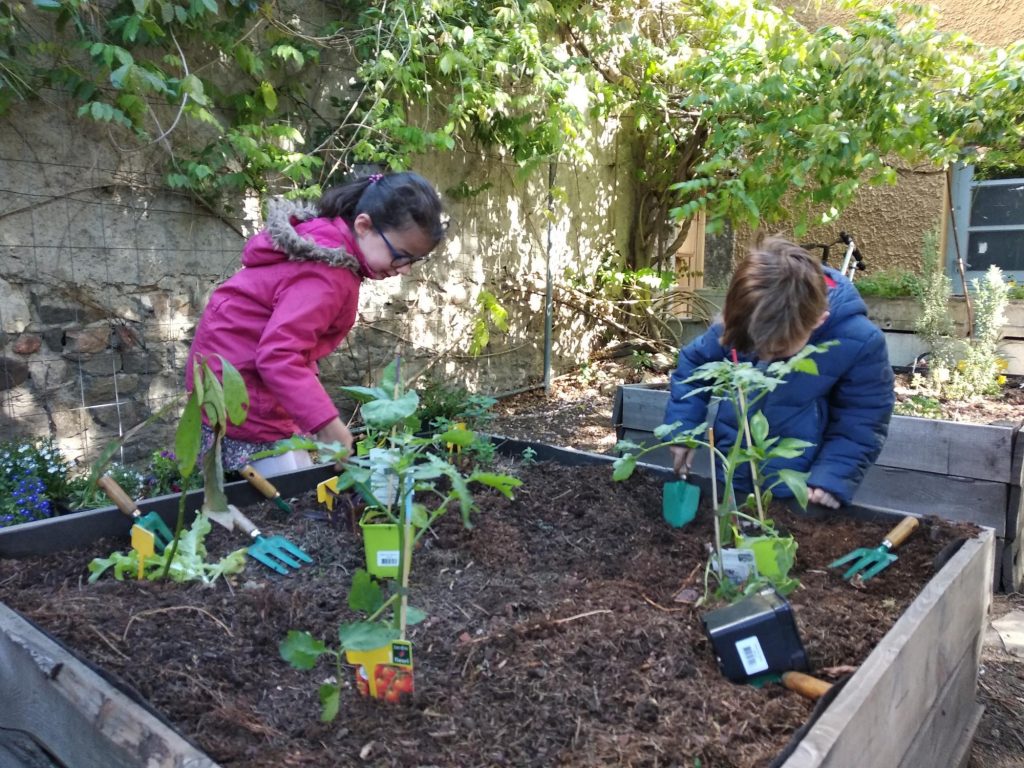 Les élèves de grande section jardiniers...